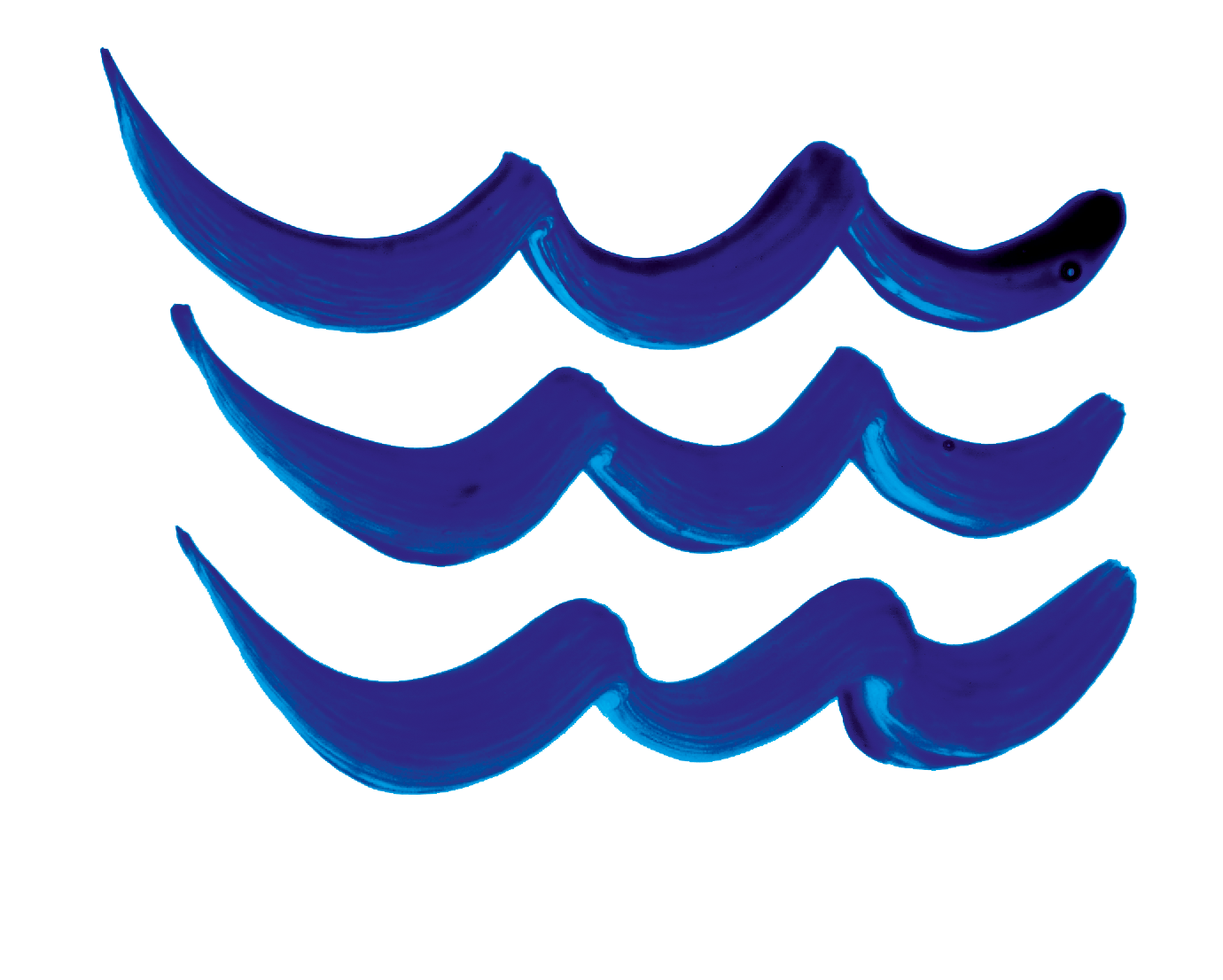 boelger_UDVALGT rgb copy.png