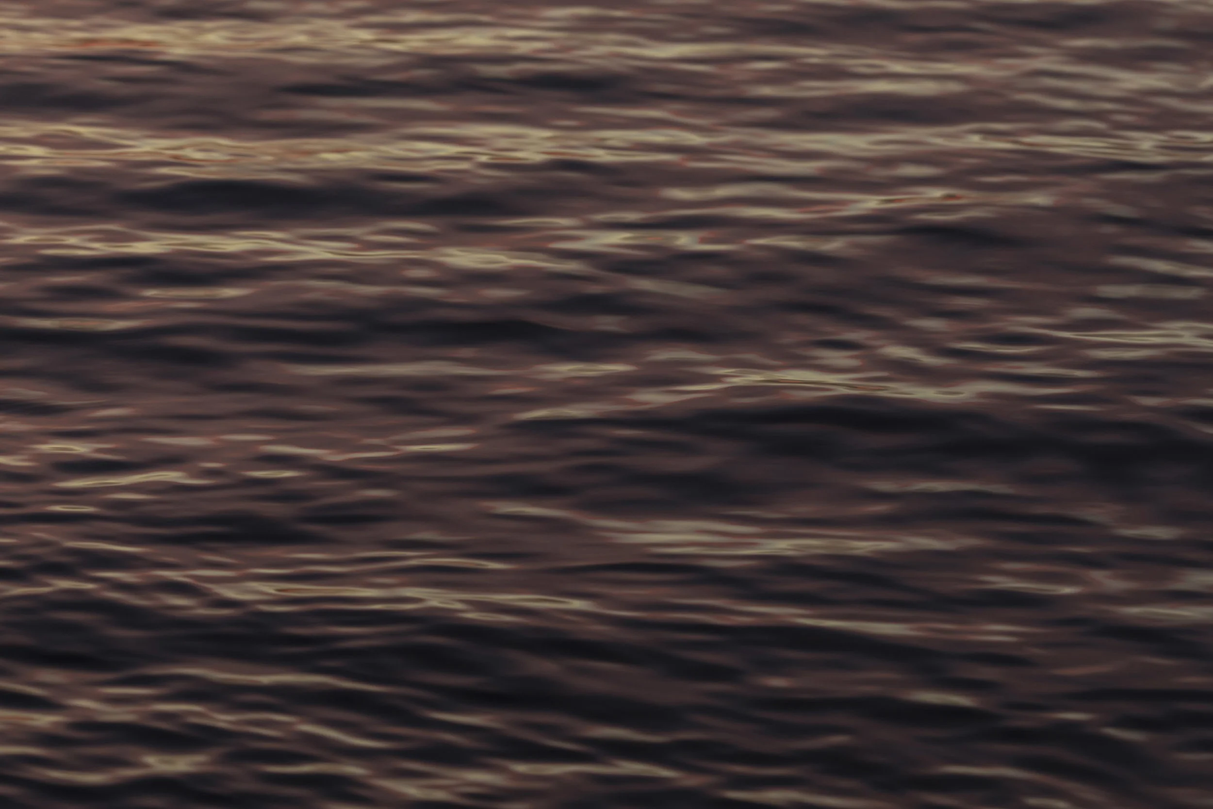 08sup_082.jpg