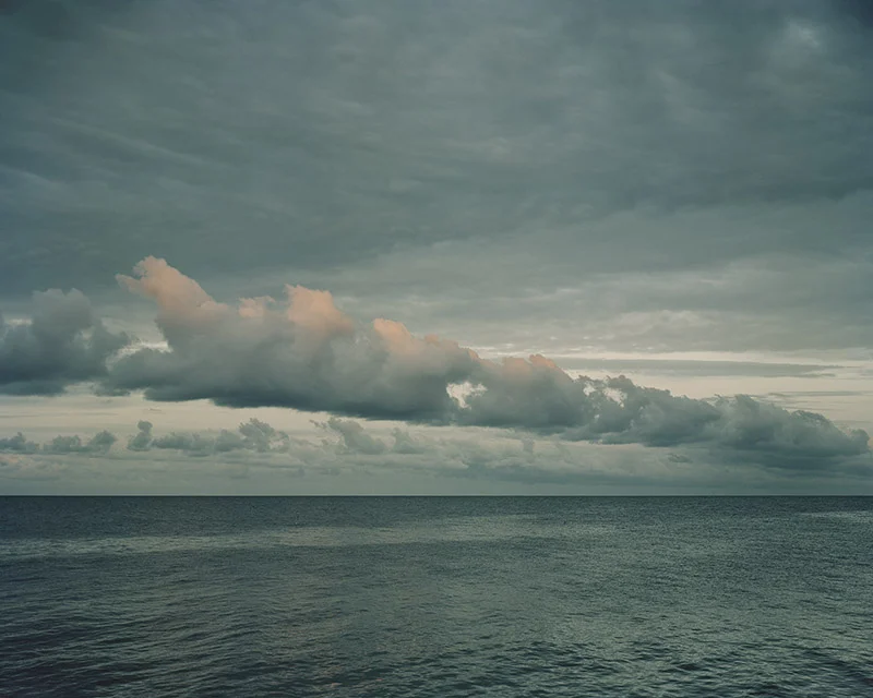 No. 35 / Øresund / Gjorslev Bøgeskov ›