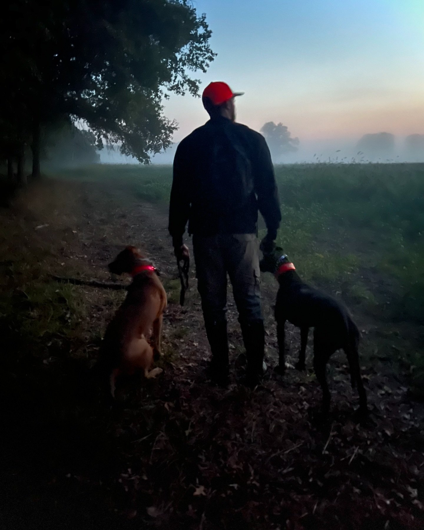 &ldquo;If all difficulties were known at the outset of a long journey, most of us would never start out at all.&rdquo; - Dan Rather
.
With the strategic shift from a manwork focus to that of a more &ldquo;total&rdquo; dog - we want to continuously ev