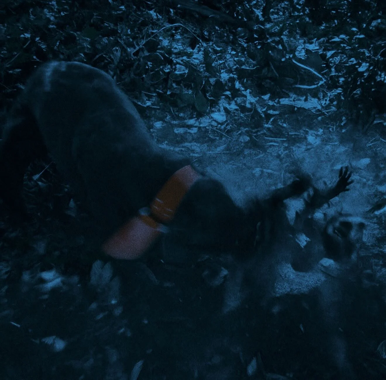 The instrument can never exceed the quality of the musician who plays it.
.
Most don&rsquo;t have the handling skills to pull the best out of these dogs. If you lack patience, understanding, observational skills and ability to listen - they&rsquo;ll 