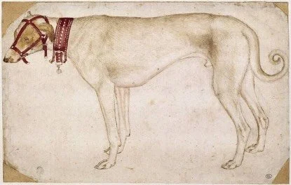Alaunt Gentile vs. Alaunt Veauntre &mdash; prototypes before breeds. 15th Century drawings by Antonio di Puccio Pisano
.
These historical depictions are often mislabeled as &ldquo;early mastiffs,&rdquo; but that framing is too modern and too shallow.