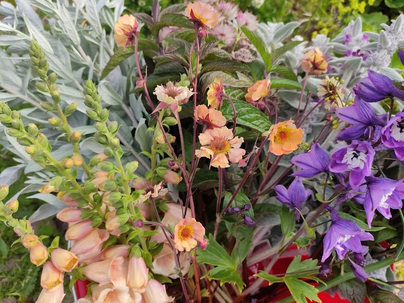 bucket of flowers.jpg