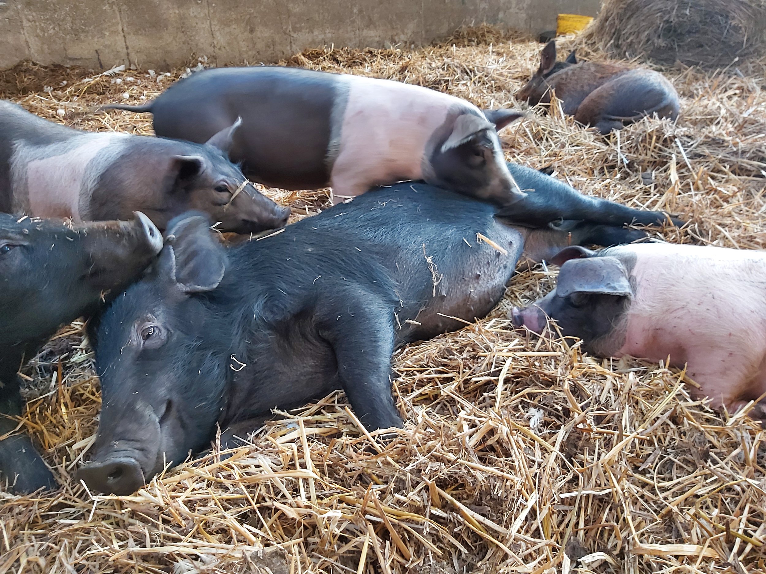 20191010_121423 (1).jpg