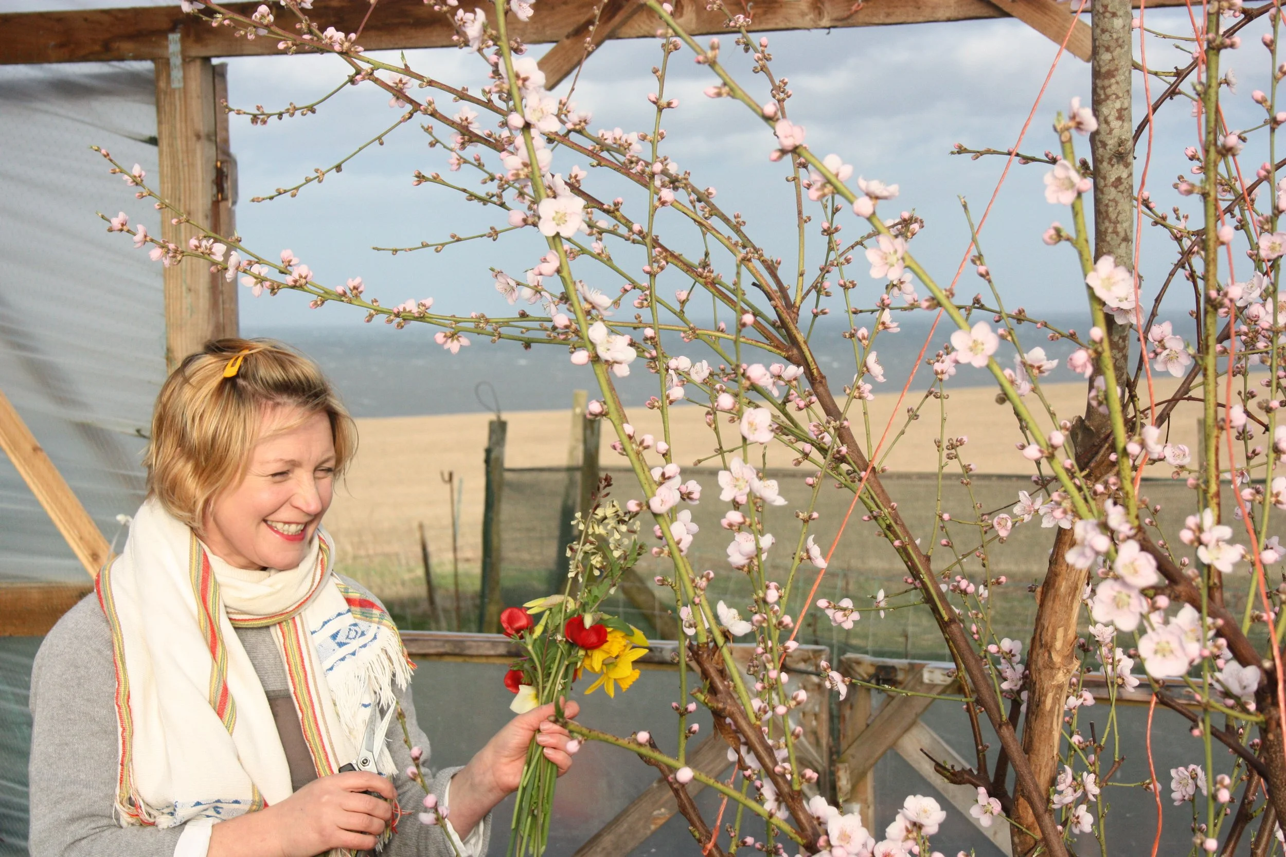 Sillyflatt Ailsa.JPG