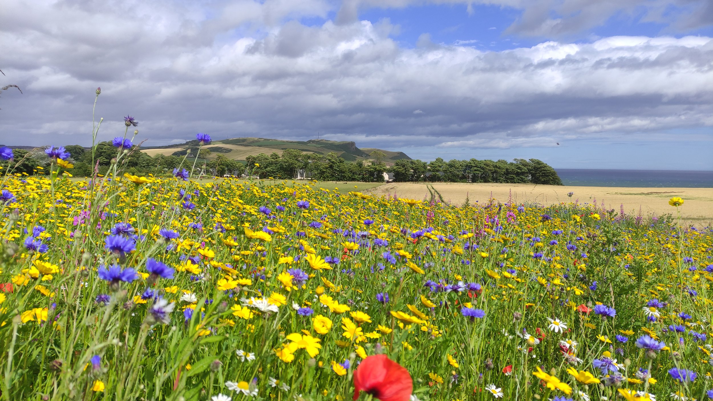 IMG_20240809_140513 (2).jpg