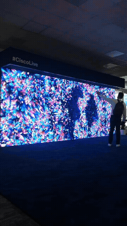 Adobe Express - 1000000248.gif