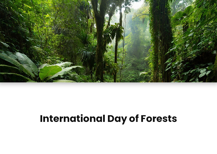 International Day of Forests
