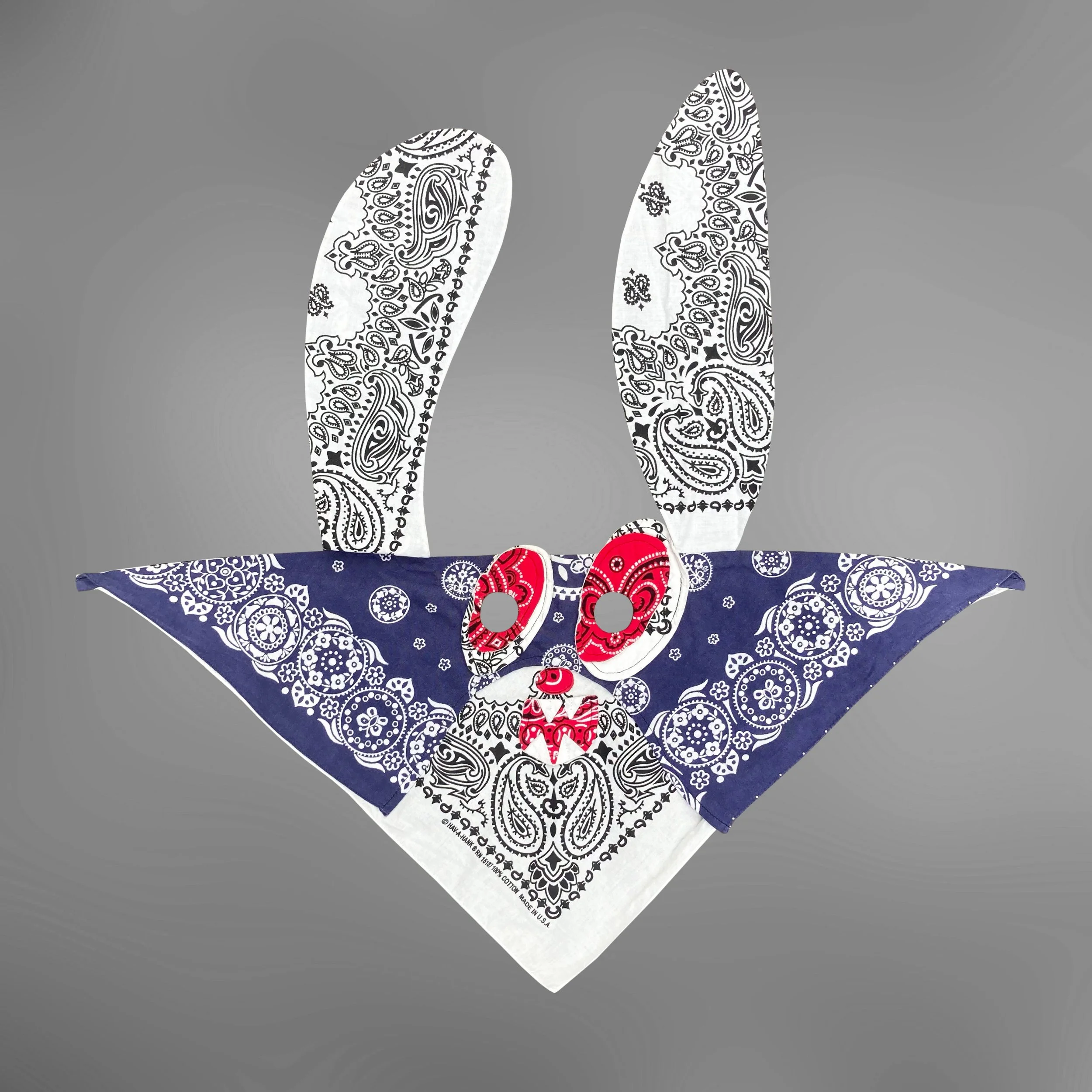 Skoloct Soloist bandana mask2.jpg