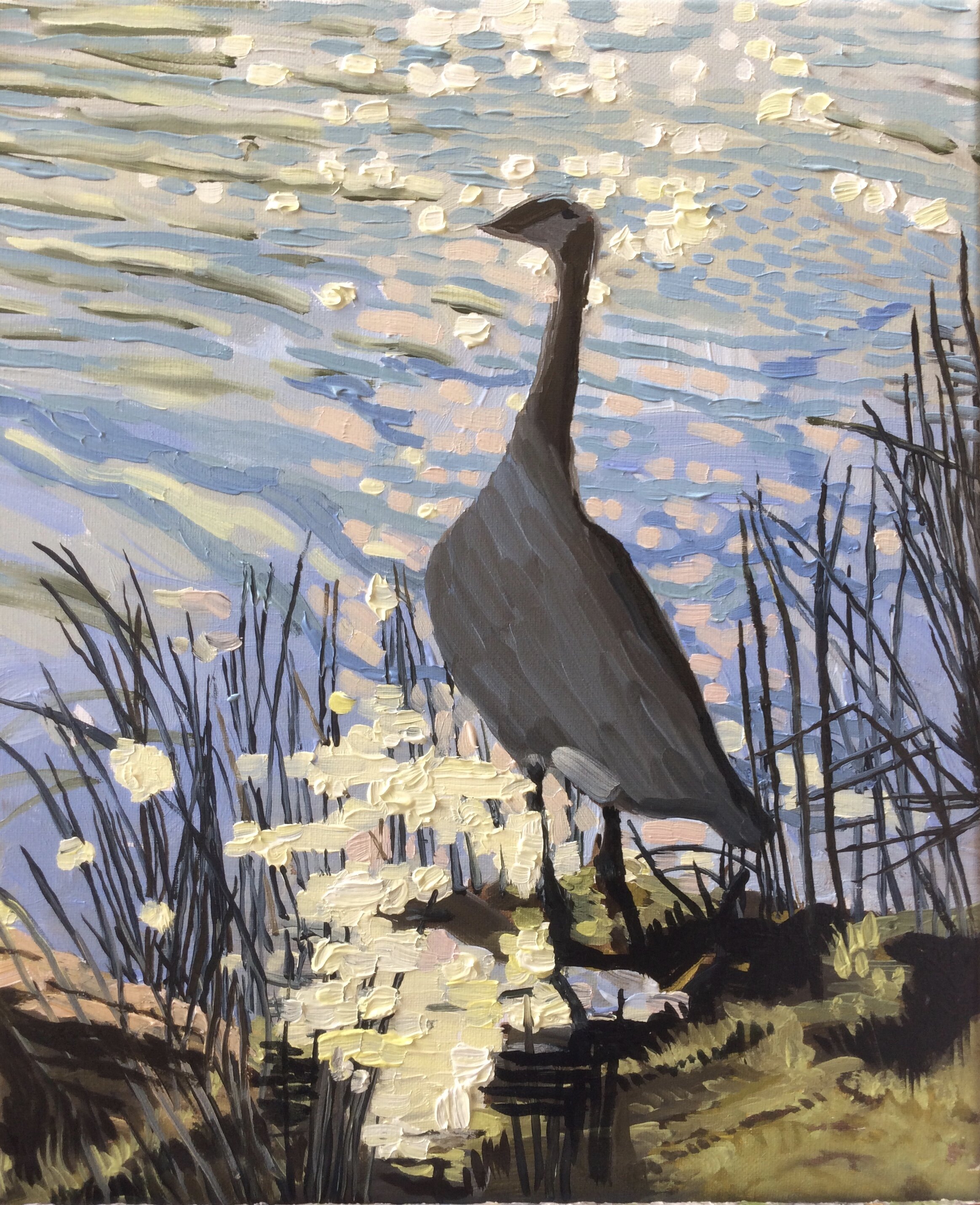 Wild goose (exhibited at the Russell Gallery)