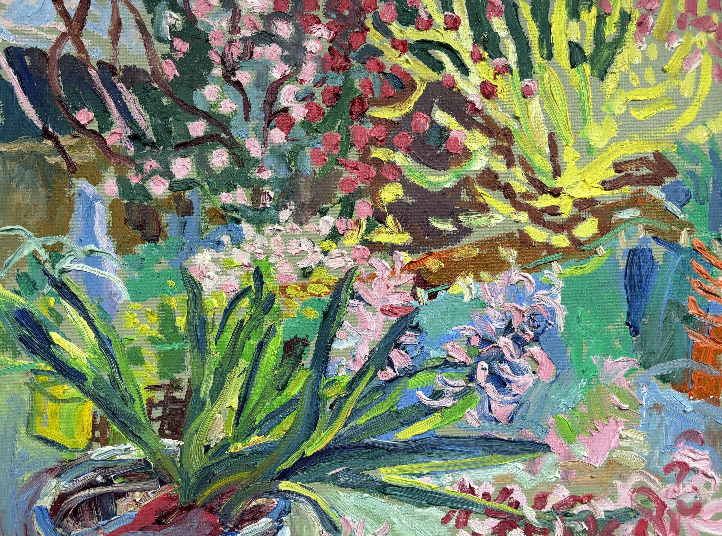 Spring bulbs