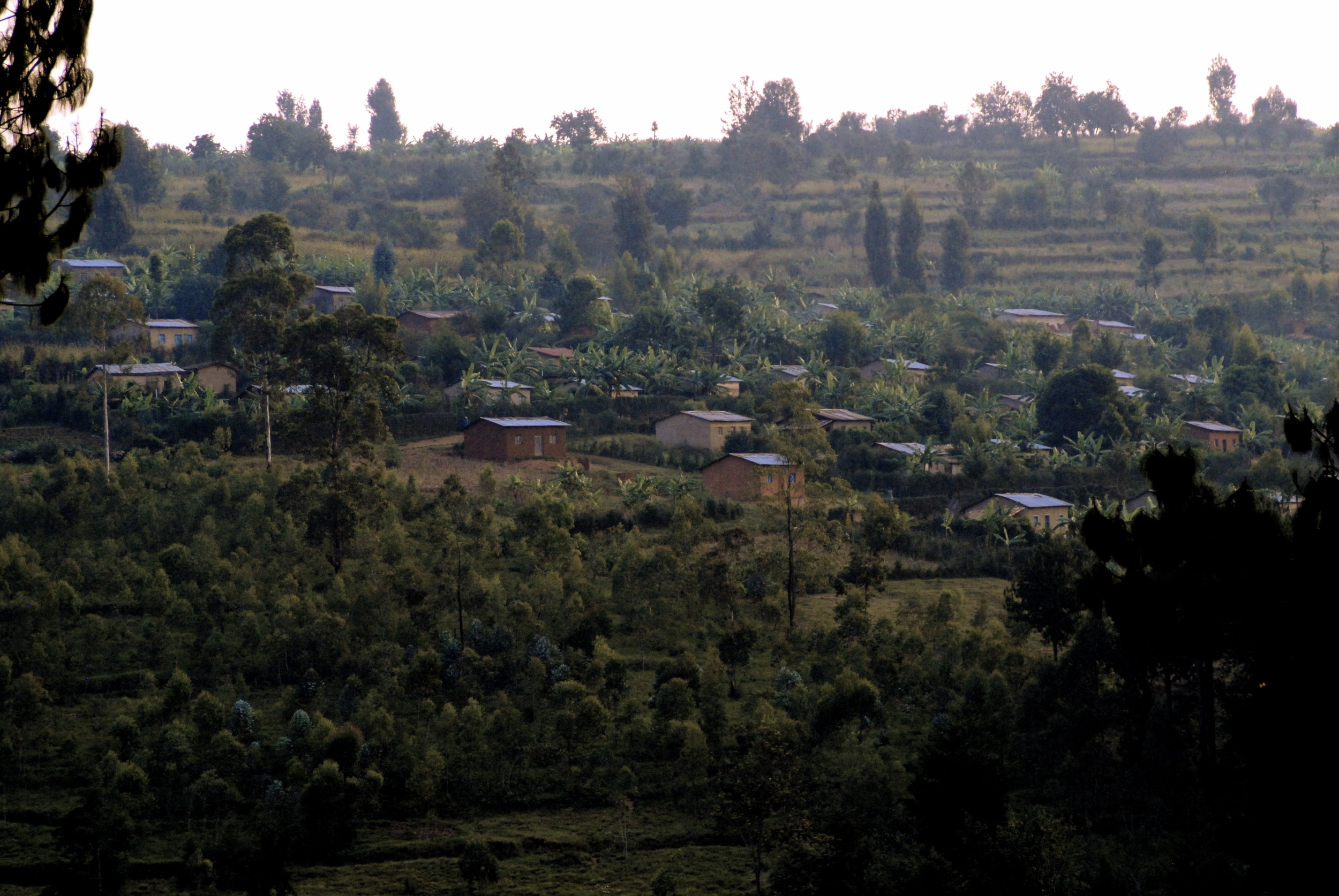 Burundi hillside.JPG