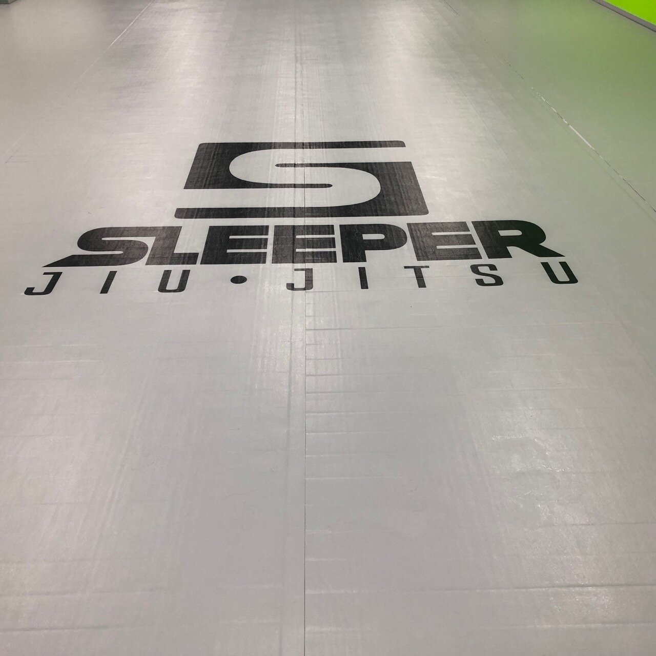 sleeper jiu jitsu 1.jpg