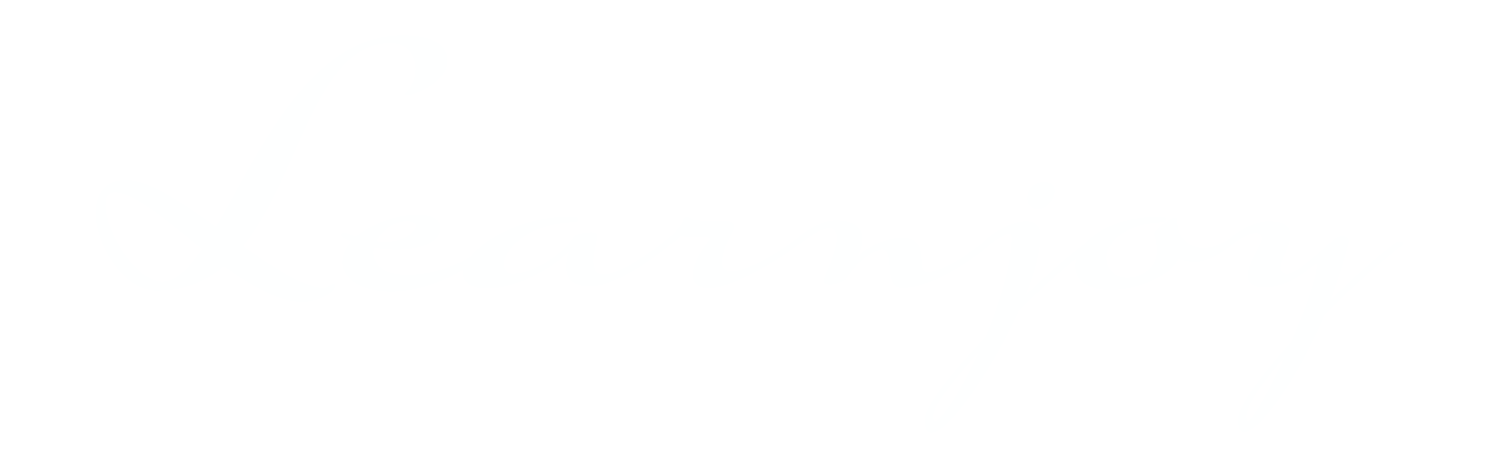 Learnjoy logo transparent.png