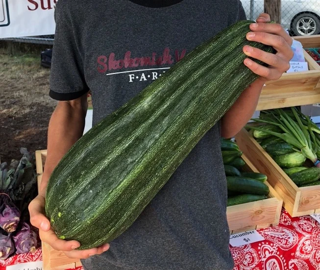 My son holding the ten and 1/2 pound zucchini. It was the first one that sold at the farmers market on Saturday.