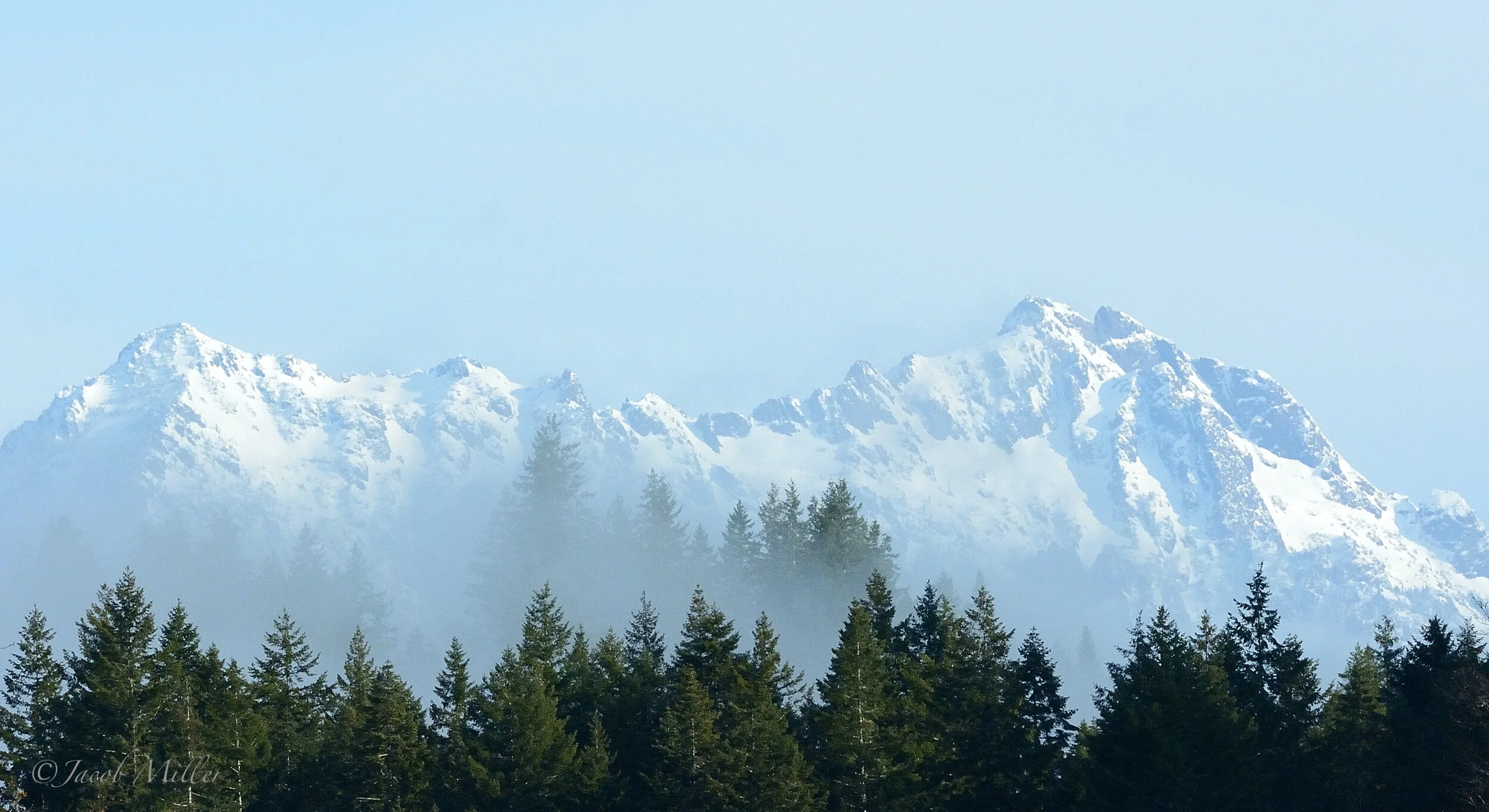 BirdWalks — Skokomish Valley Farms