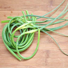 Garlic Scapes