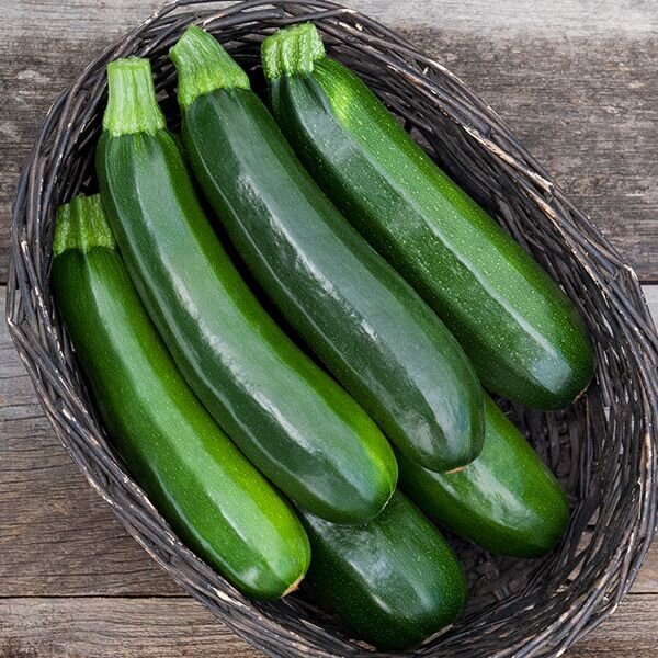 Zucchini, Darkstar