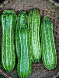 Zucchini, Costata Romanesco