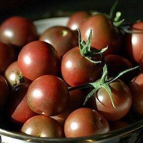 Tomato, Cherry, Chocolate