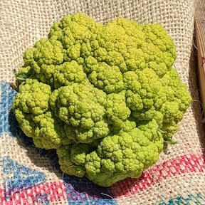 Cauliflower - Vitaverde