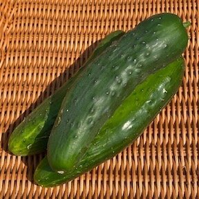 Cucumber, Marketmore