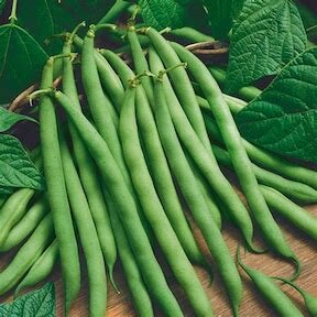 Beans, Fresh - Green