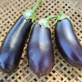 Eggplant, Diamond