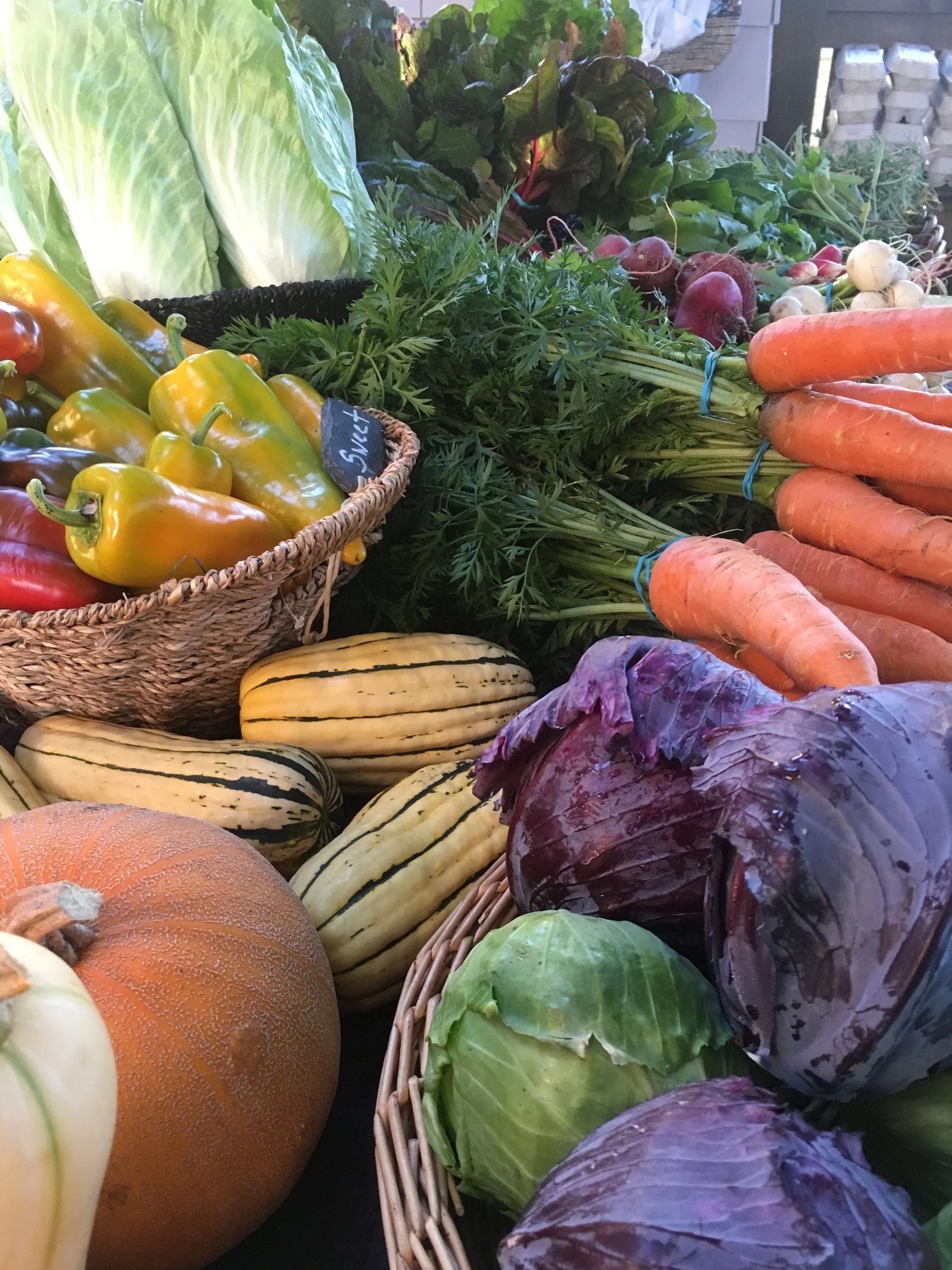 Online Store — Skokomish Valley Farms