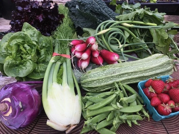 Online Store — Skokomish Valley Farms