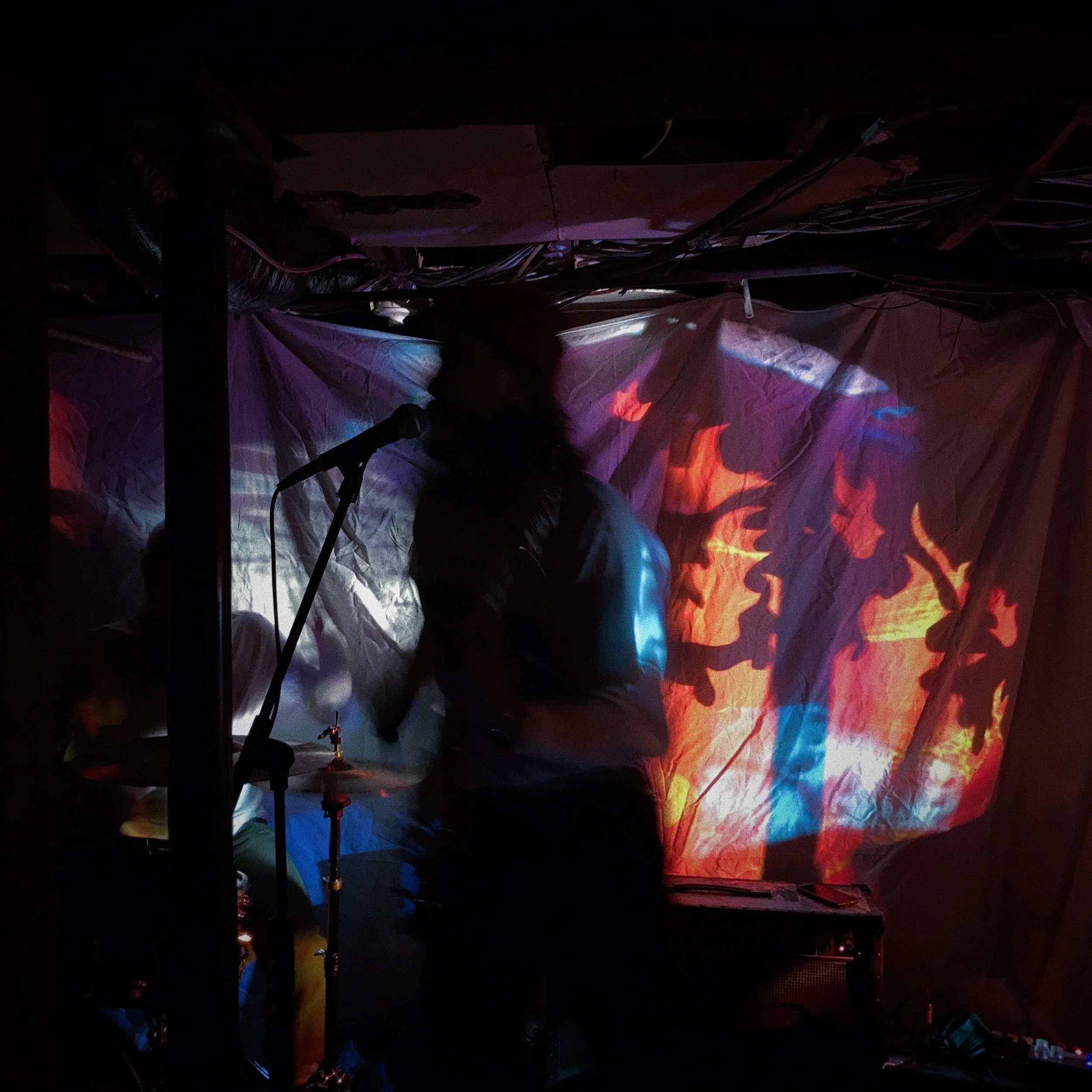 Mamba Samba at the Snake Pit