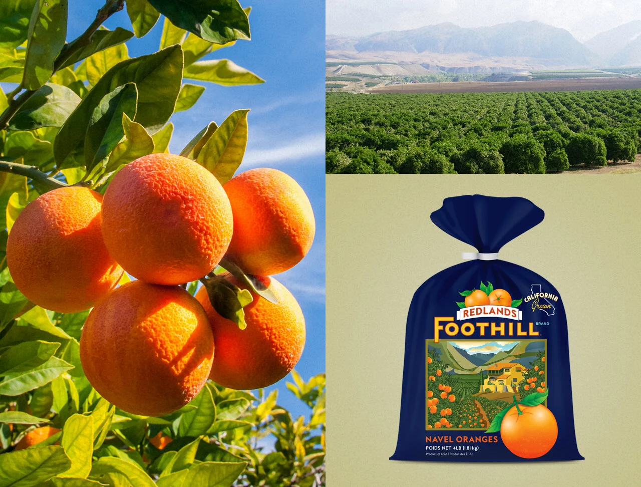 Redlands_Foothills_Orange_Landscape_Layout_1280.jpg