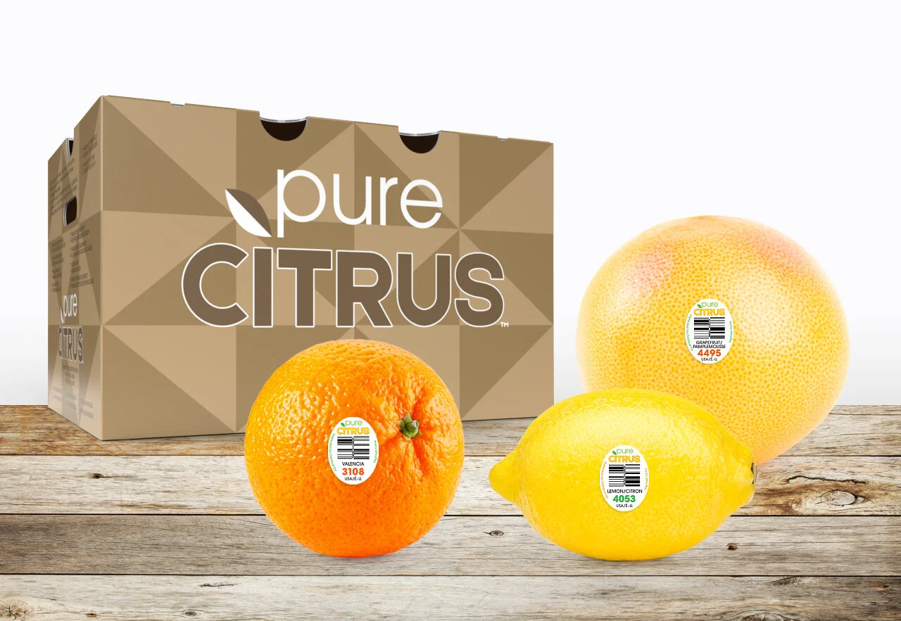VF_Pure_Citrus_Orange_ShipperBox_Layout_1280.jpg