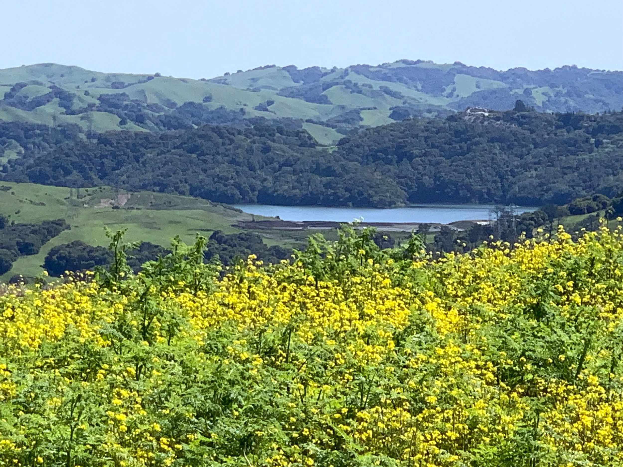 INSPIRATION POINT - BERKELEY