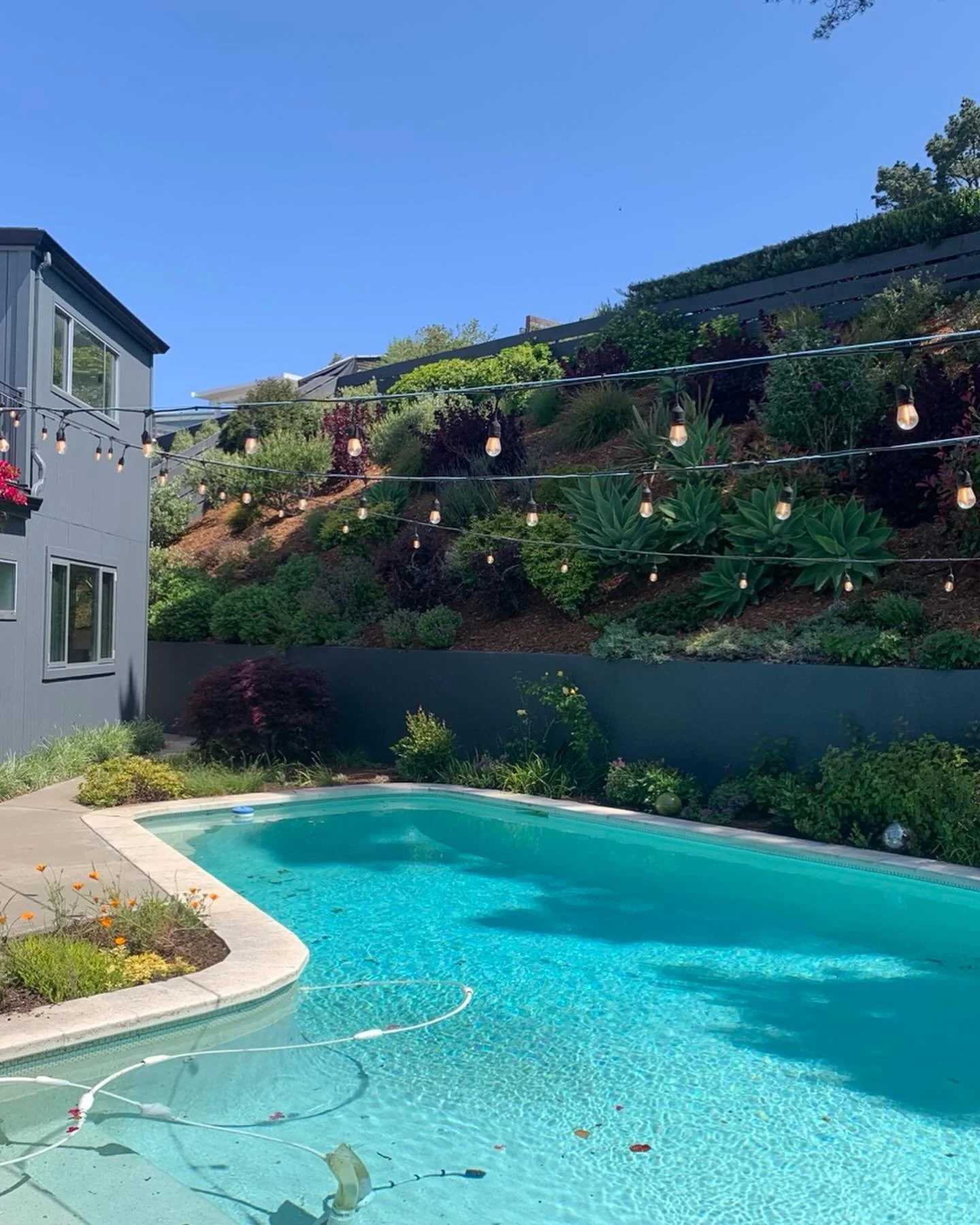 Style and drama today on tour. Feels like LA, but it’s the ever cool El Cerrito hills.