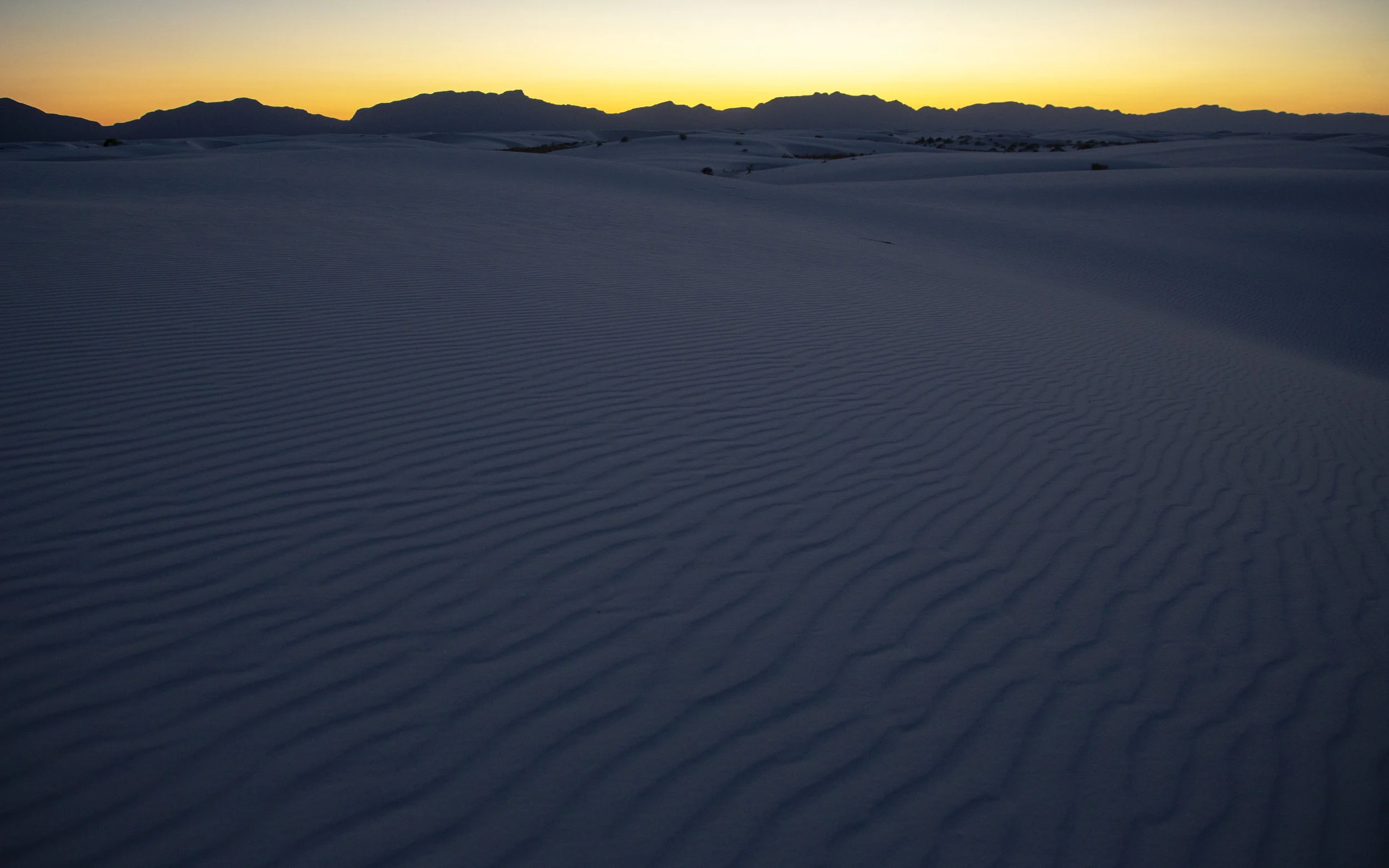 Whitesands_2.jpg