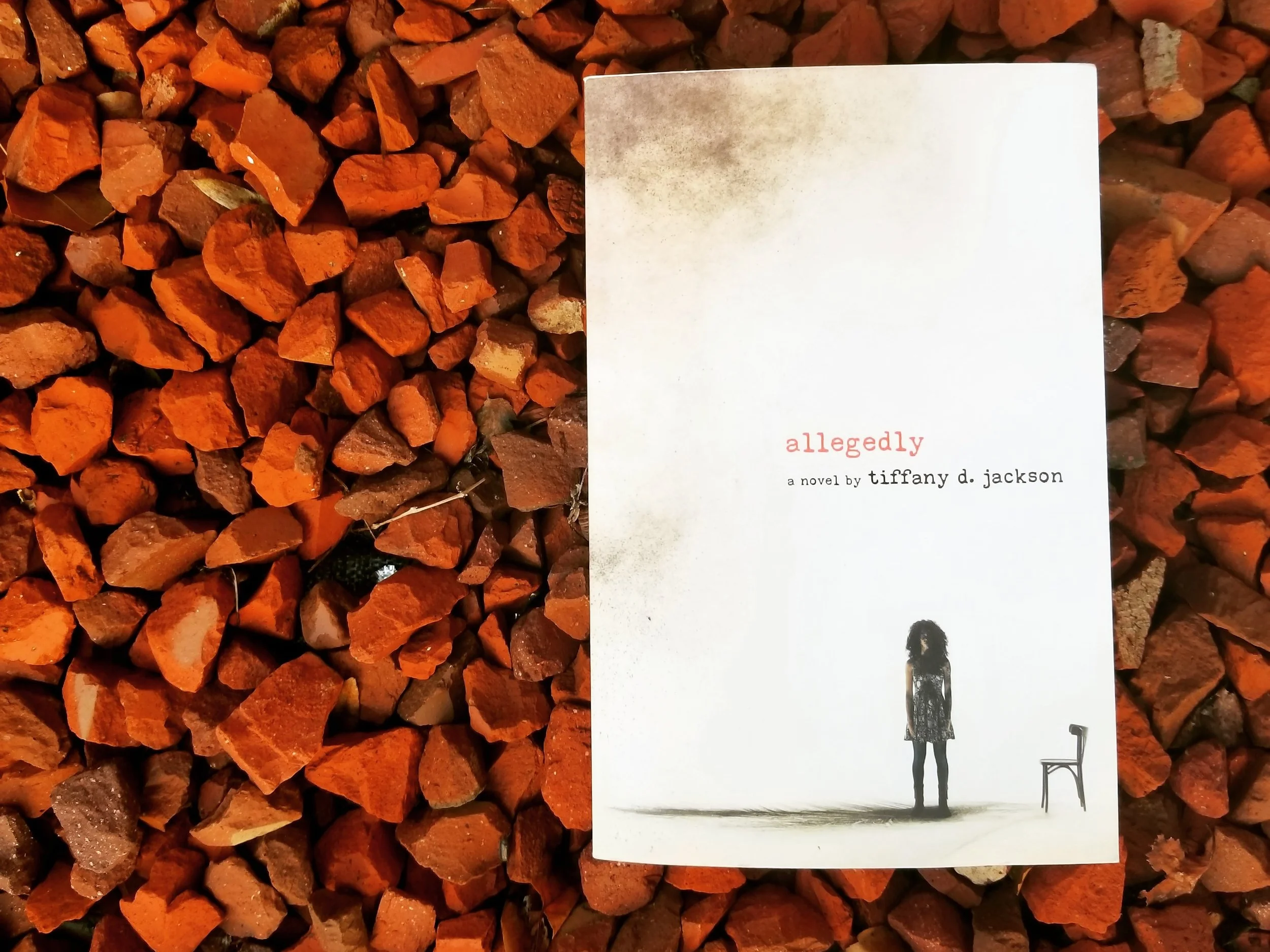Allegedly by Tiffany D. Jackson. Image via For Colored Girls Book Club on Instagram