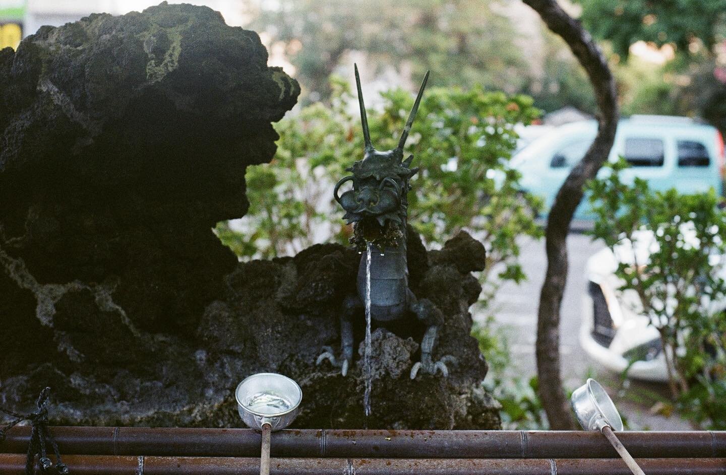 🐉

#film #olympusom2 
-
-
-
-
-
-
-
-
-
#フィルムと生活 
#hibi_jp 
#フィルムカメラ初心者 
#日々フィルム 
#fujifilm200 
#photogram_archive 
#reco_ig
#写真好きな人と繋がりたい 
#カメラ女子
#ノスタルジーな瞬間を
#the_diary_of_pale_memory
#その瞬間に物語を
#日常を紡いでく
#私の写真もっと広まれ
#retrip_nippon
#hueart_life
#p