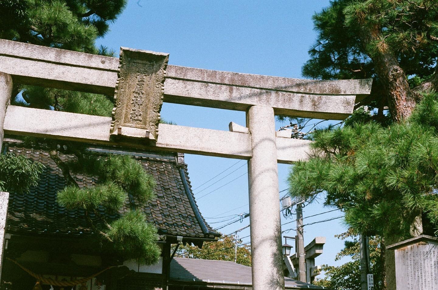 #ハイキュー 思い出したw

#film #olympusom2 
-
-
-
-
-
-
-
-
-
#フィルムと生活 
#hibi_jp 
#フィルムカメラ初心者 
#日々フィルム 
#fujifilm200 
#photogram_archive 
#reco_ig
#写真好きな人と繋がりたい 
#カメラ女子
#ノスタルジーな瞬間を
#the_diary_of_pale_memory
#その瞬間に物語を
#日常を紡いでく
#私の写真もっと広まれ
#retrip_nippon
#hue