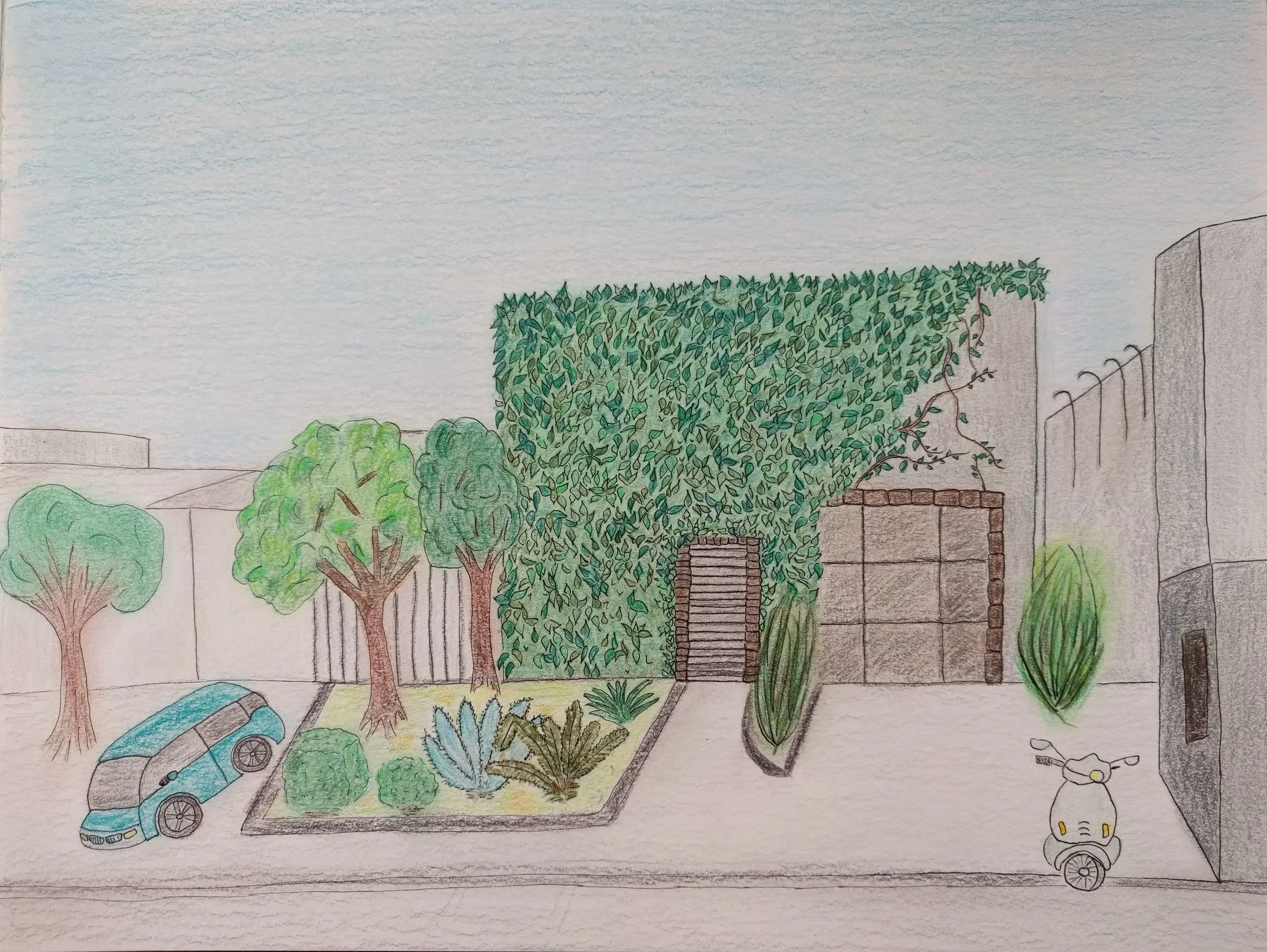 Urban Series. Culver City Vines