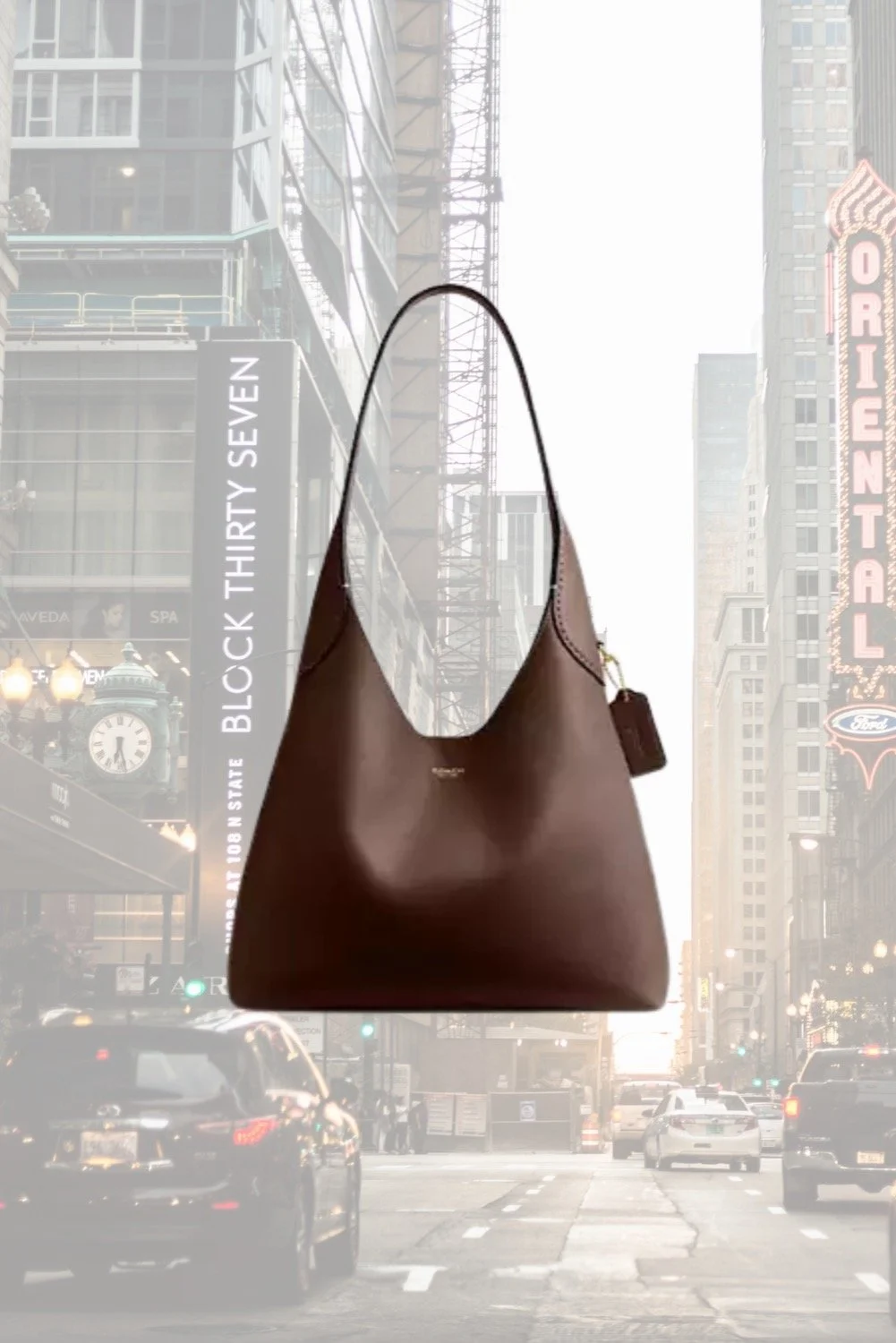 Coach Brooklyn Shoulder Bag