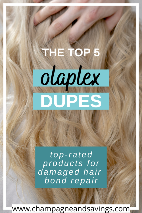9 Popular  Dupes To Shop