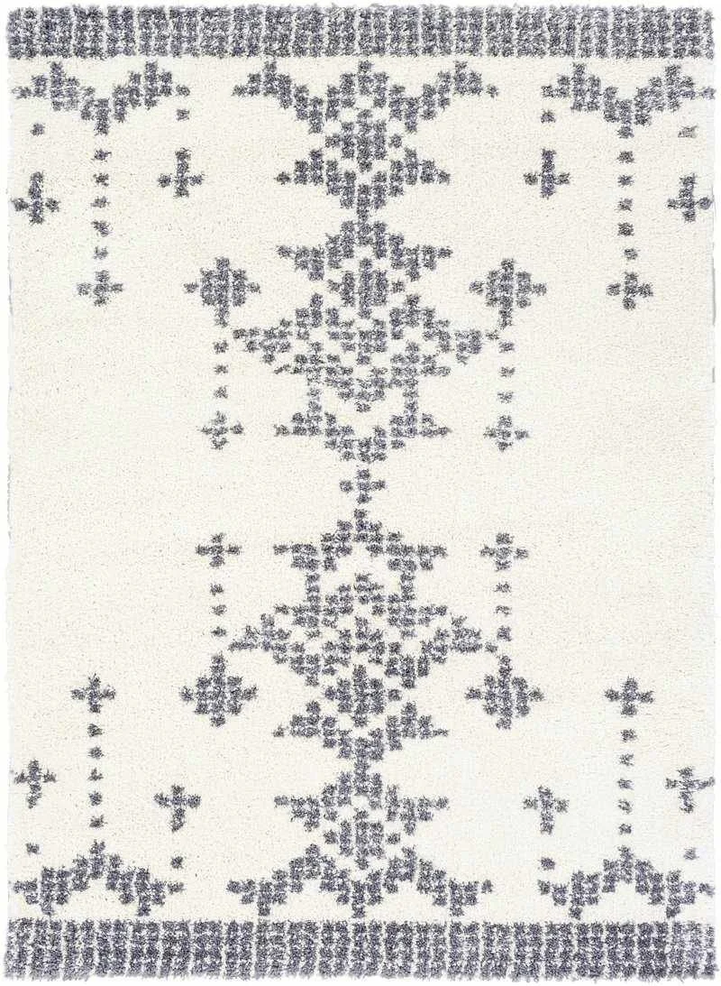 10 Modern Boho Rugs That Are Actually Affordable — Champagne & Savings