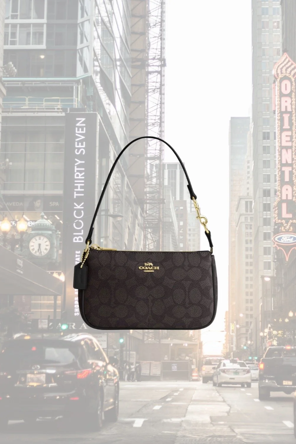Coach Nolita 19 Purse