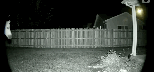 Mar-04-2026 22-04-41.gif