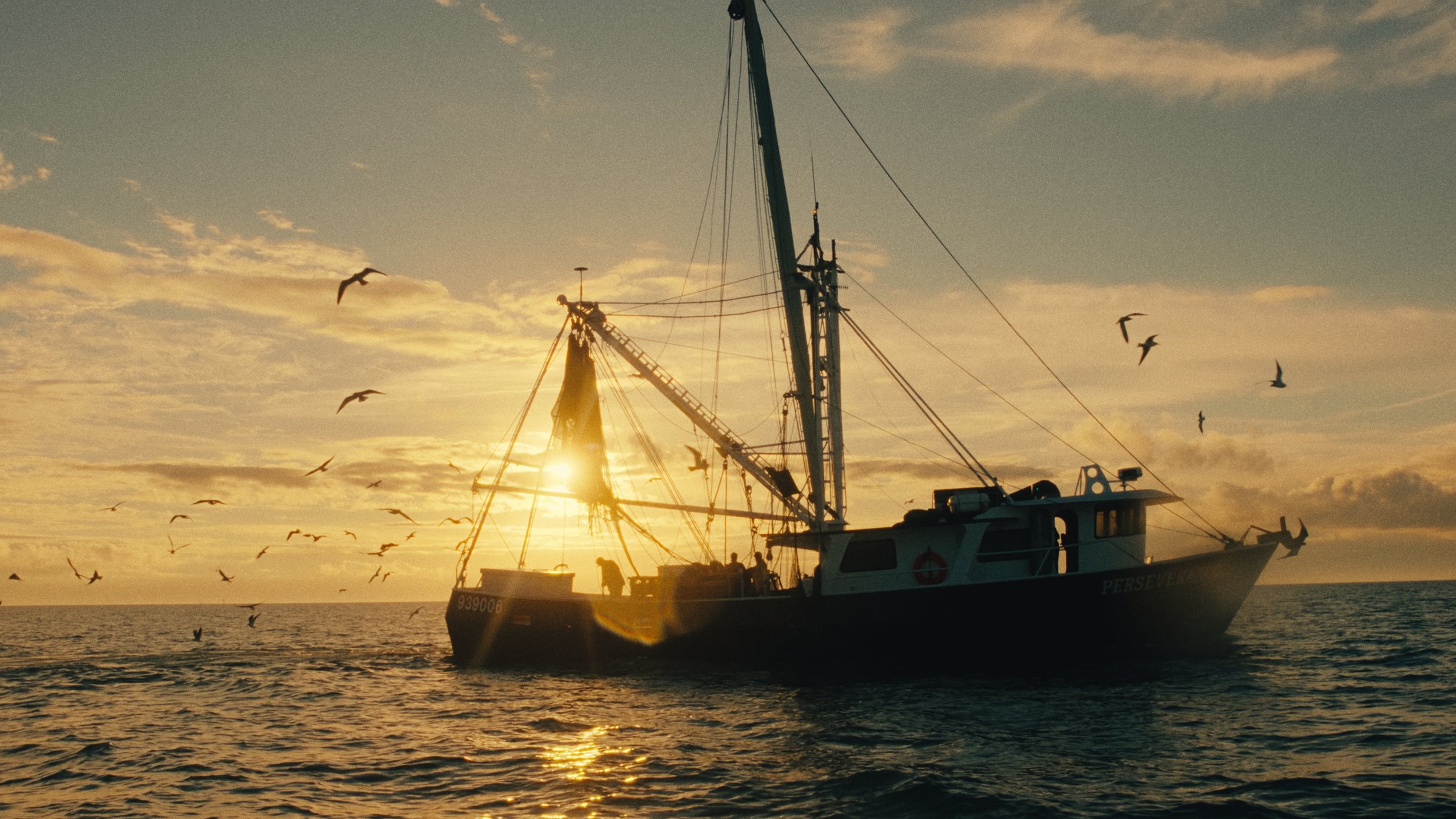 alexander-lakin-cinematographer-colorist-shrimpin-in-the-gulf-11.jpg