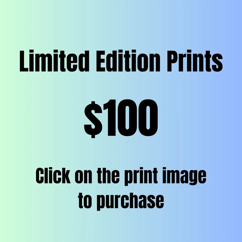 $100 Prints.jpg