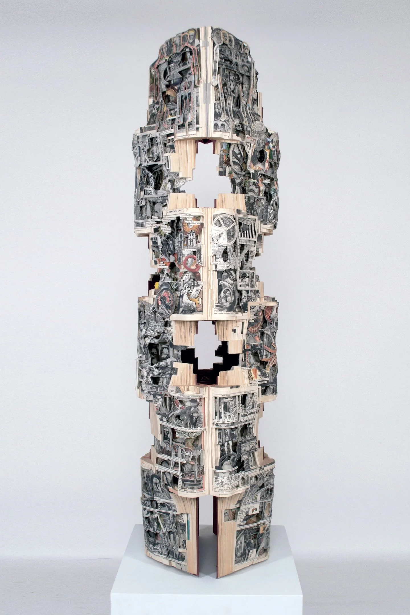 World Scope 2019, Hardcover Books, Acrylic Varnish, 47 x 13 x 14 inches