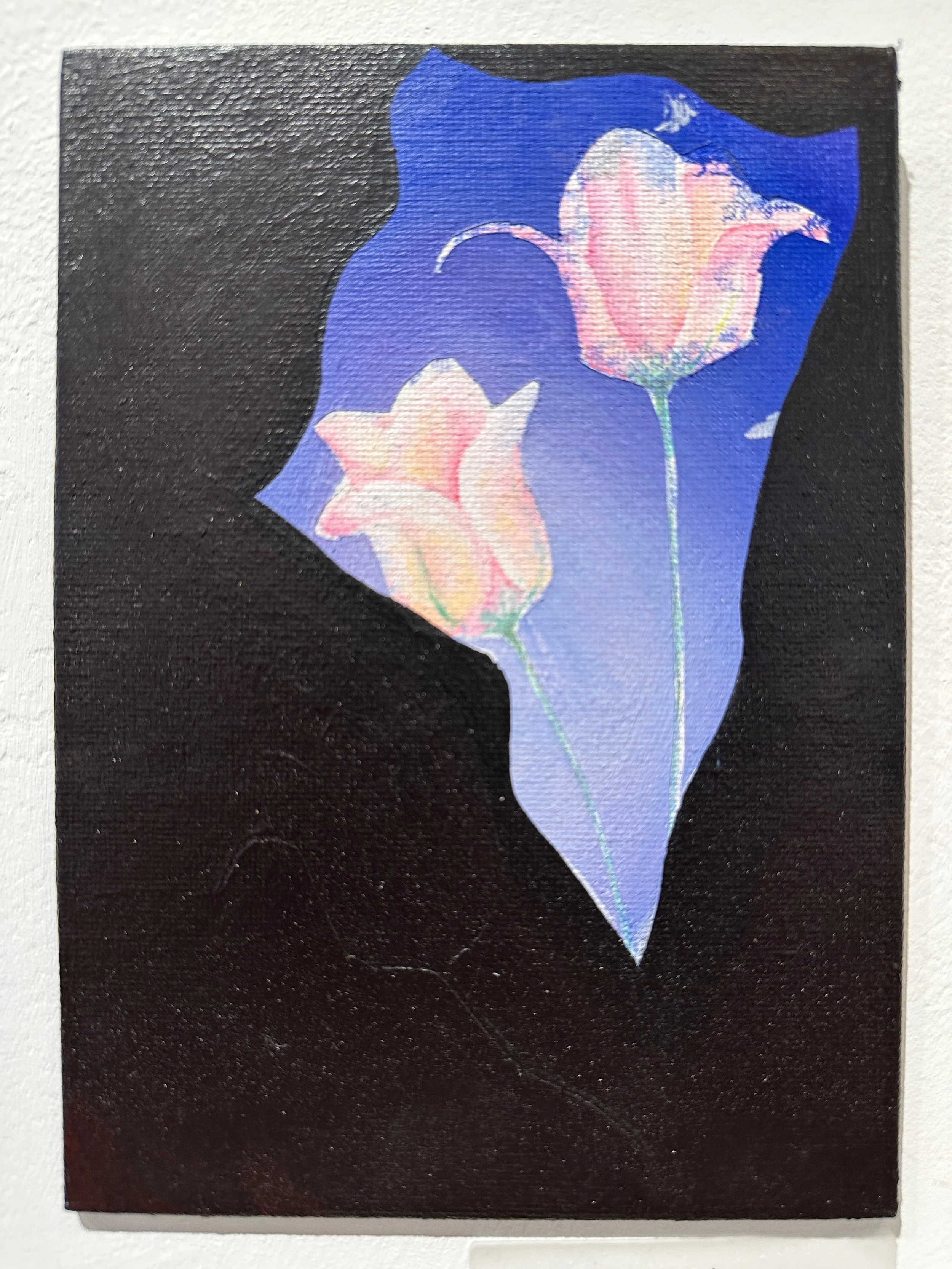 ALEXANDRA‬ ‭ SALAS‬ ‭