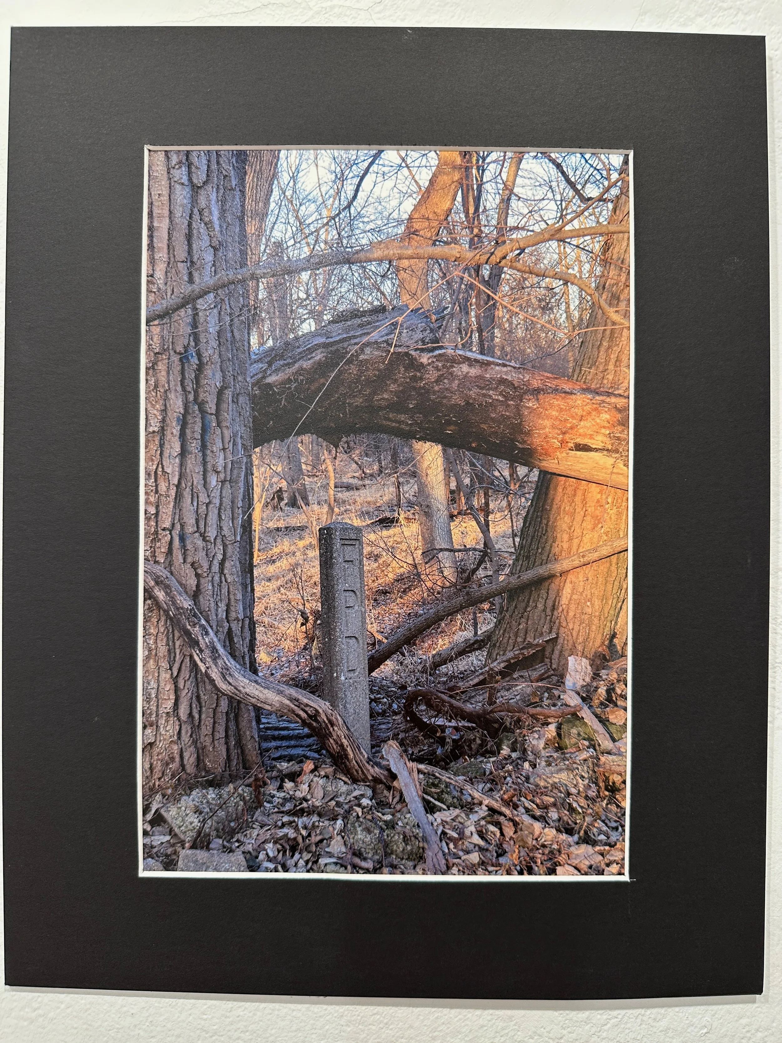 CHARLIE‬ ‭ BURKE